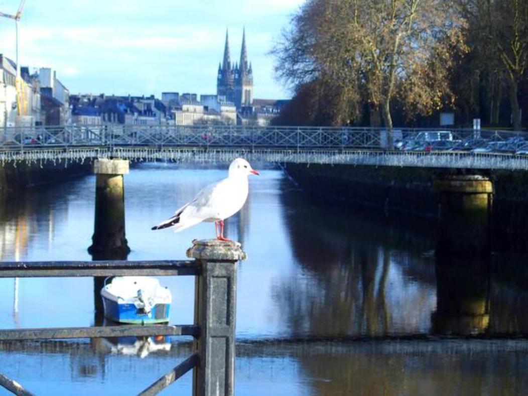 Sweet Home En Plein Coeur De Quimper Dış mekan fotoğraf